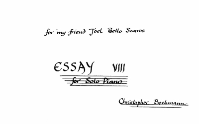 Essay VIII